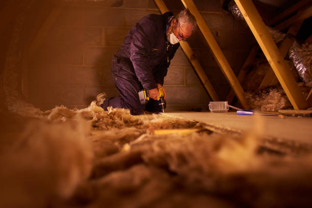 Best Basement Insulation  in Bangor, ME